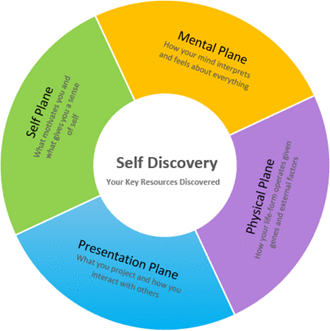 Self Discovery Introduction